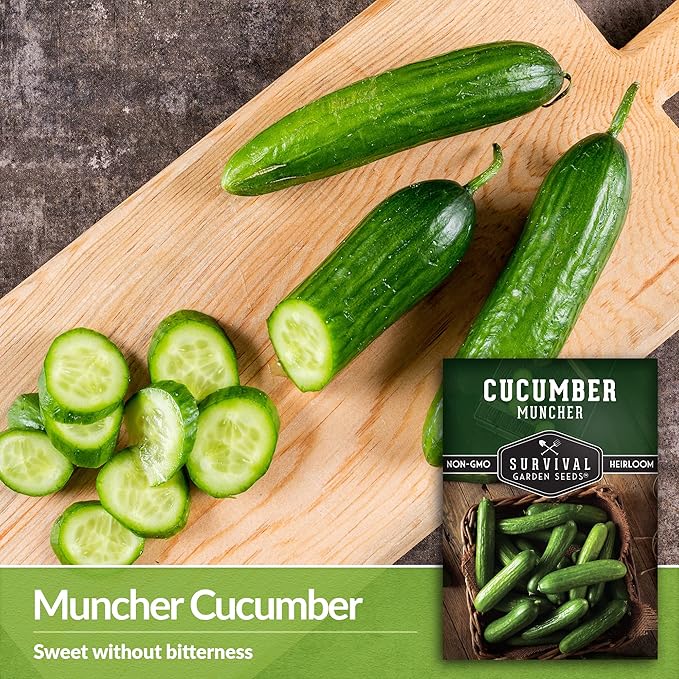 5 Packs Muncher Cucumber Seed for Planting - Packet with Instructions to Grow Burpless Slicing Cucumbers in Your Home Vegetable Garden - Non-GMO Heirloom Variety - Survival Garden Seeds
