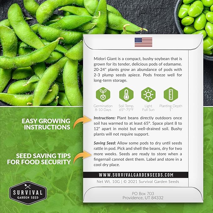 Survival Garden Seeds - Midori Giant Soybean Seed for Planting - 3 Packs with Instructions to Plant and Grow Protein-Rich Edamame Pods in Your Home Vegetable Garden - Non-GMO Heirloom Variety