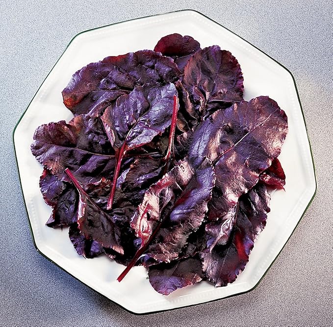 Burpee Bull's Blood (Heirloom) Beet Seeds 200 seeds