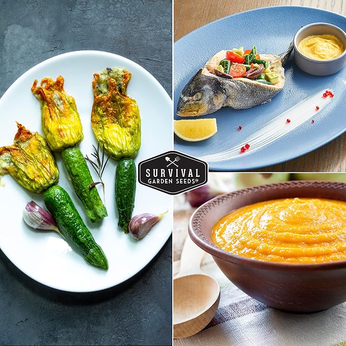 Survival Garden Seeds - Golden Zucchini Seeds for Planting - 5 Packs with Instructions to Plant and Grow Yellow Zucchini Vegetables in Your Home Vegetable Garden - Non-GMO Heirloom Variety