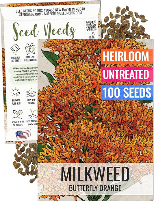 Seed Needs Orange Butterfly Milkweed Seeds for Planting - Heirloom & Untreated - Grow a Butterfly Garden to Attract Monarch Butterflies & Pollinators (1 Pack)