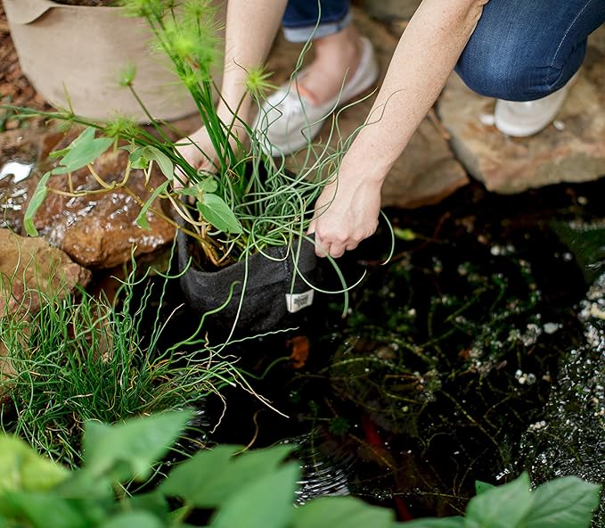 SMART POT 23007, 7 Gallon Pond Flexible Aquatic Plant Container for Water Gardening, Black