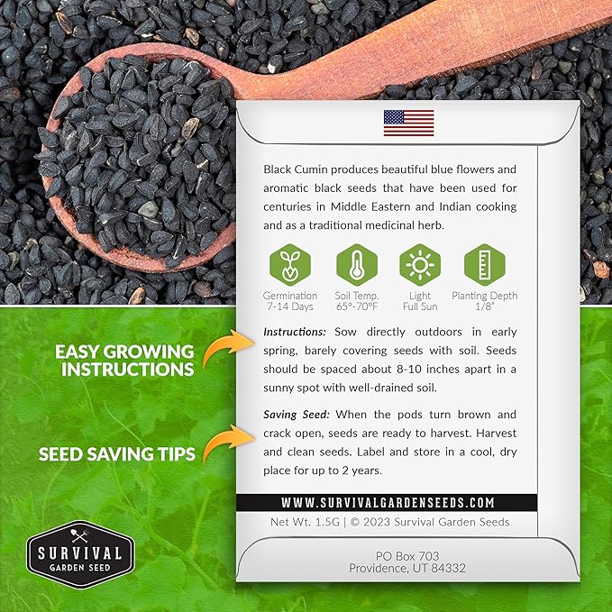 Black Cumin Seed for Planting - 3 Packets with Instructions to Plant and Grow Beneficial Nigella Sativa Plants in Your Home Vegetable Garden - Non-GMO Heirloom Variety - Survival Garden Seeds