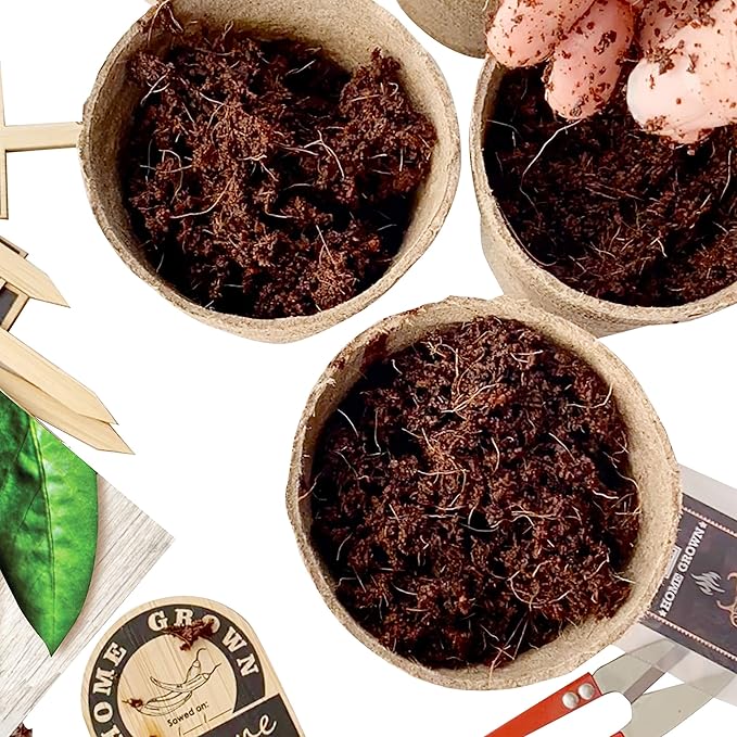 Hapinest Indoor Hot and Spicy Pepper Garden Seed Starter Growing Kit Gardening Gifts for Men and Women - Jalapeno, Habanero, Hungarian Yellow Wax, Ghost, and Cayenne