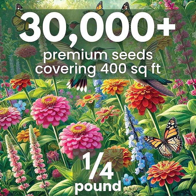 Hummingbird Butterfly Mix - Bulk 1/4 Pound Pouch - 30,000 Flower Seeds for Planting - Wildflower Mix