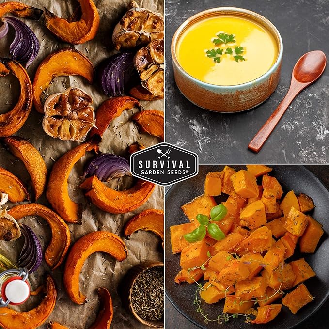 Survival Garden Seeds - Fairy Tale Pumpkin Seed for Planting - 5 Packs with Instructions to Plant and Grow Pumpkins in Your Home Vegetable Garden - Non-GMO Heirloom Variety