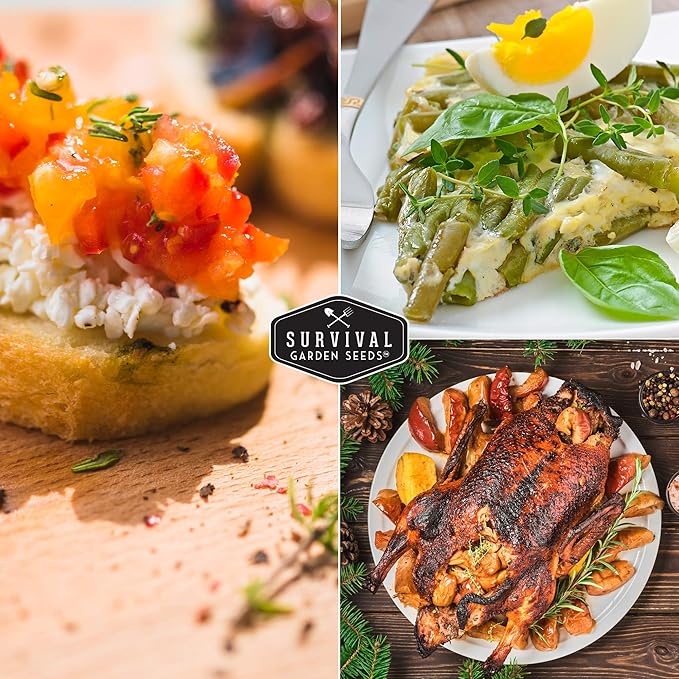 Survival Garden Seeds - Thyme Seed for Planting - Packet with Instructions to Plant and Grow Thymus Vulgaris Herb Plants in Your Home Vegetable Garden - Non-GMO Heirloom Variety - Edible Thyme Seeds