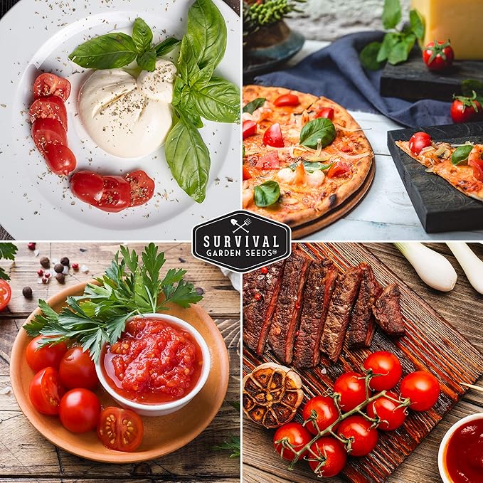 Survival Garden Seeds - Tiny Tim Tomato Seeds for Planting - 1 Pack with Instructions to Grow in Your Home Vegetable Garden - Non-GMO Heirloom Variety