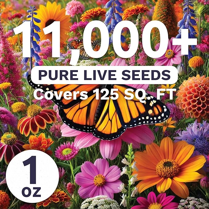 Monarch Butterfly Rescue Mix - Large 1 Ounce Packet - 11,000 Flower Seeds for Planting - Wildflower Mix
