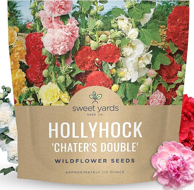 Hollyhock 'Chater's Double' Mix - Large 1/2 Ounce Packet - 1,500 Flower Seeds for Planting - Alcea rosea