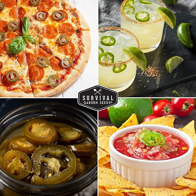 Survival Garden Seeds - Jalapeño Pepper Seed for Planting - Packet with Instructions to Plant and Grow Green or Red Chili Peppers in Your Home Vegetable Garden - Non-GMO Heirloom Variety - 5 Pack