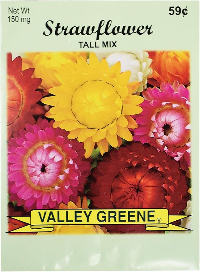 Black Duck Brand Set of 25 Strawflower Tall Mix Flower Seed Packets! Flower Seeds in Bulk - Great for Creating The Garden of Your Dreams! (25, Strawflower - Tall Mix)