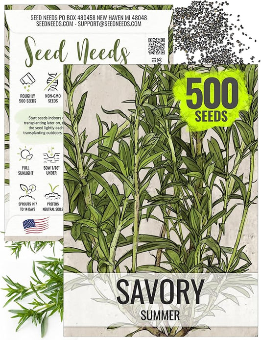 Seed Needs Summer Savory Seeds for Planting - Non-GMO, Heirloom & Untreated Annual Herbs - Organically Grow a Culinary Kitchen Garden Indoors or Outdoors (1 Pack)