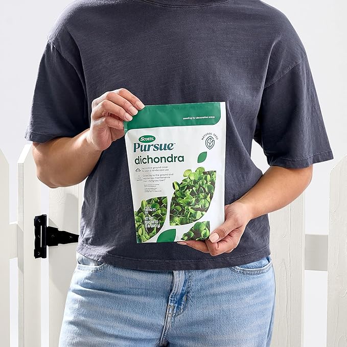 Scotts Pursue Dichondra with Natural Seed, Seeding for Decorative Areas, 1.5 lbs. (Pack of 2)