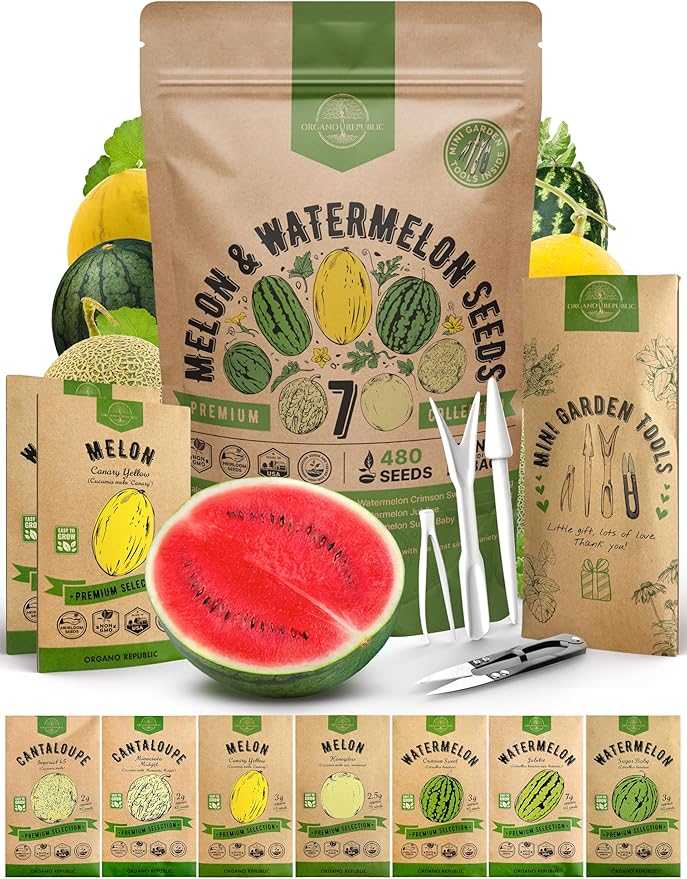 7 Melon & Watermelon Seeds Variety Pack 480+ Non-GMO Heirloom Fruit Seeds for Planting Fruits in Individual Seed Packets for Hydroponic, Indoor and Outdoors Gardening