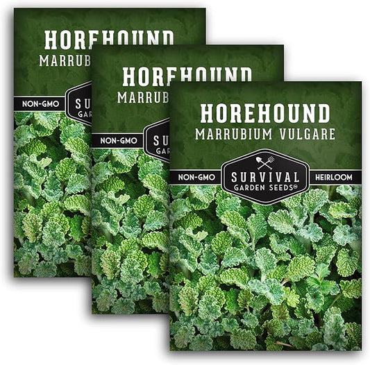 Horehound Seed for Planting - 3 Packets with Instructions to Plant and Grow Beneficial Marrubium Medicinal Herbs in Your Home Vegetable Garden - Non-GMO Heirloom Variety - Survival Garden Seeds