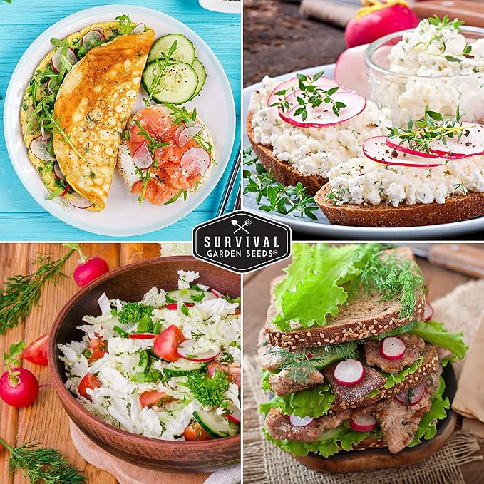 Survival Garden Seeds - Champion Radish Seed for Planting - 3 Packets with Instructions to Plant & Grow Red Radishes in Your Home Vegetable Garden - Non-GMO Heirloom Variety Vegetable Seed