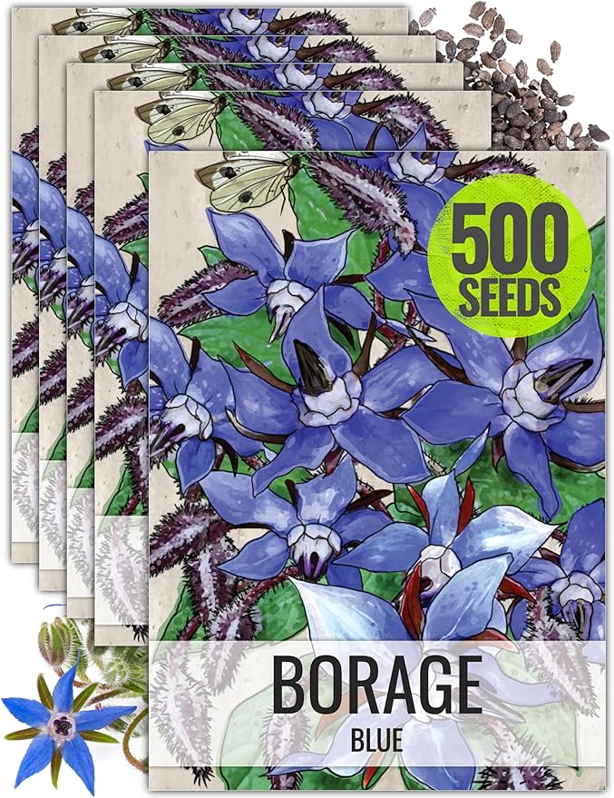 Seed Needs Blue Borage Seeds for Planting - Heirloom, Non-GMO & Untreated - Blue Star Flowers to Attract Bees, Butterflies & Other Pollinators (5 Packs)