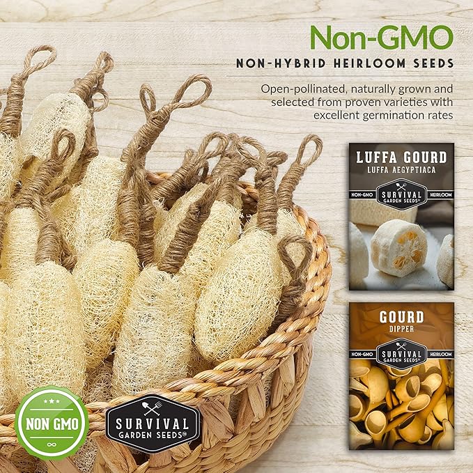 Survival Garden Seeds Dipper & Luffa Gourd Seeds for Planting – Grow Ornamental & Craft Gourds of Loofah & Dipper Variety in Your Home Vegetable Garden – Non-GMO Heirloom Seed Varieties