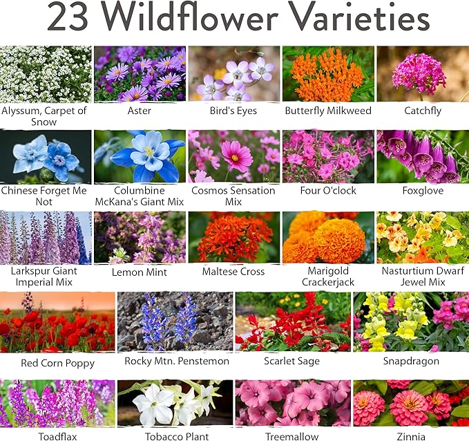 HOME GROWN 58,500+ Wildflower Seeds - Premium Birds & Butterflies Wildflower Seed Mix (2oz) Flower Garden Seeds - Bulk Wild Flowers: 23 Wildflowers Varieties of 100% Non-GMO Annual Flower Seeds