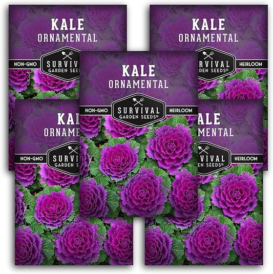 Ornamental Kale Seed for Planting - 5 Packets with Instructions for Growing Ornamental Flowering Kale Plants in Your Home Vegetable Garden - Non-GMO Heirloom Variety - Survival Garden Seeds