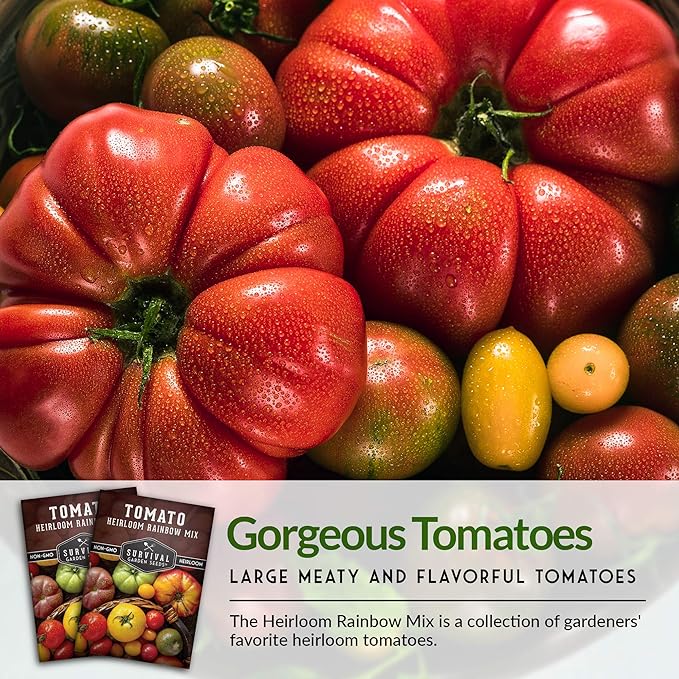 Survival Garden Seeds - Heirloom Rainbow Mix Tomato Seed for Planting - 3 Packets with Instructions to Plant and Grow in Your Home Vegetable Garden - Non-GMO Heirloom Variety - 3 Packs