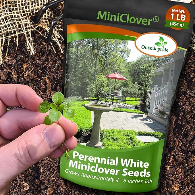 Outsidepride Perennial White MiniClover Seed - 1 lb. Dwarf, Small-Leaved, Drought & Wear-Tolerant Micro Clover Seeds for Lawn, Ideal Low-Maintenance & Easy to Grow Ground Cover Seeds for Home Yard