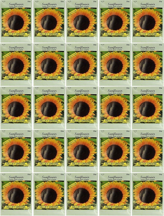 Black Duck Brand Set of 25 Sunflower Giant Grey Flower Seed Packets! Flower Seeds in Bulk - Great for Creating The Garden of Your Dreams! (25, Sunflower - Giant Gray Stripe)