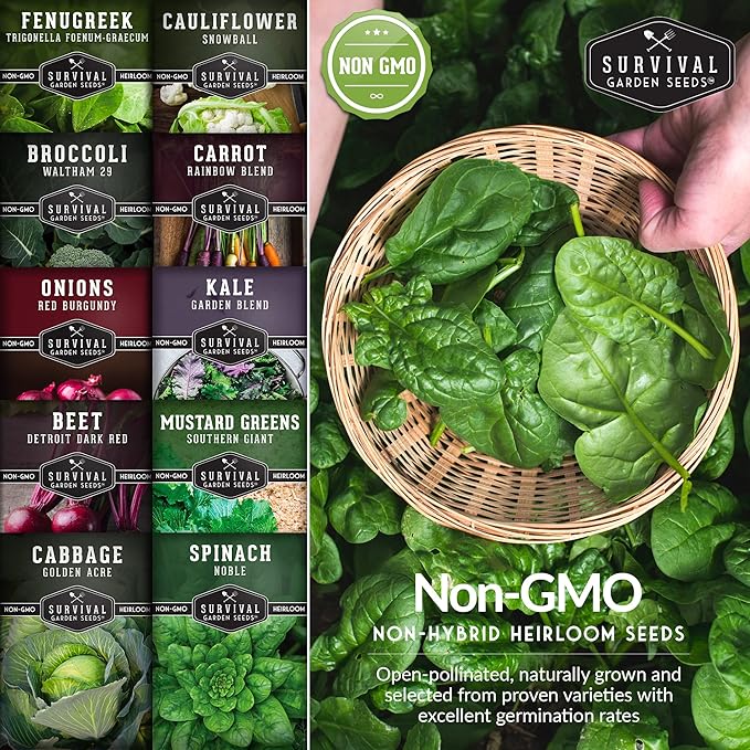 Survival Garden Seeds Spring Vegetable Seed Collection - 10 Packs with Root Veg, Leafy Greens & Cool Weather Essentials for Planting & Gardening- Non-GMO Heirloom Open-Pollinated Variety Pack
