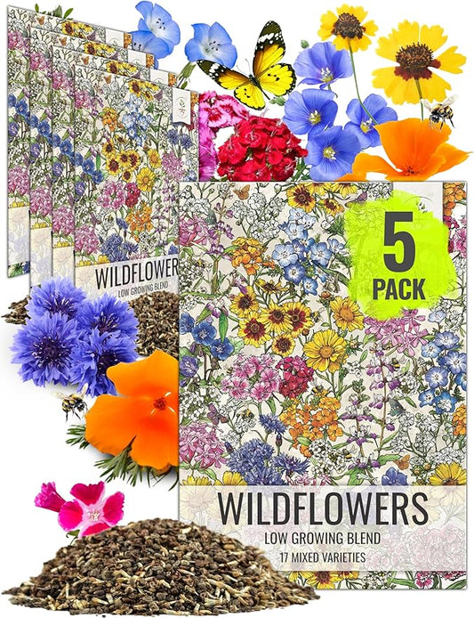 Seed Needs Low Growing Wildflower Flower Seeds for Planting | 5 Packs (1 Ounce Each) Mixture/Blend 17 Varieties | Resealable Package Multicolored Blooms Open Pollinated Mixed Species | Bulk