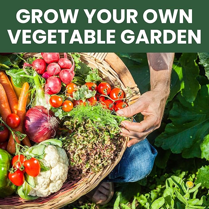 55 Vegetable Seeds | Survival Variety Pack | 2025 Season | Individually Packed Vegetables, Herbs and Fruits | Emergency Seed Vault for Doomsday Prepping | by Family Sown