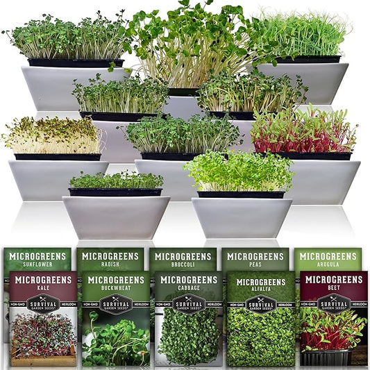 Survival Garden Seeds Microgreens 10 Pack (Seeds Only) - Instructions to Plant and Grow a Mix of Microgreen Plants - Arugula, Broccoli, Radish, Pea, Sunflower, Alfalfa, Cabbage, Buckwheat, Kale, Beet