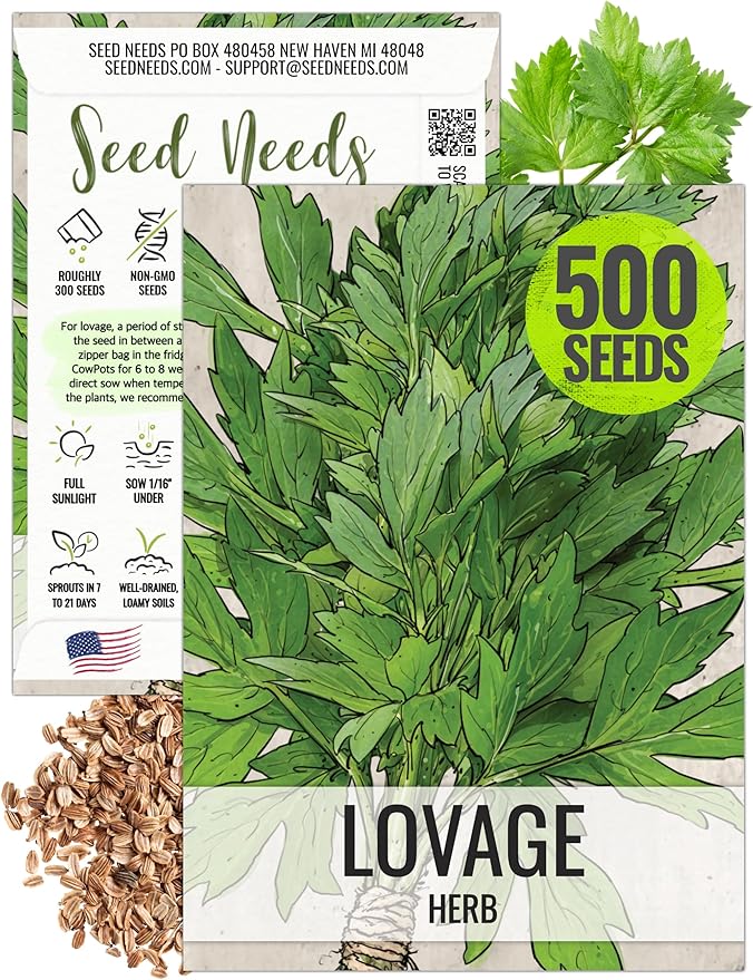 Seed Needs Lovage Seeds for Planting - Non-GMO, Heirloom & Untreated - Organically Grow Your own Medicinal/Culinary Herb Garden Indoors or Outdoors (1 Pack)