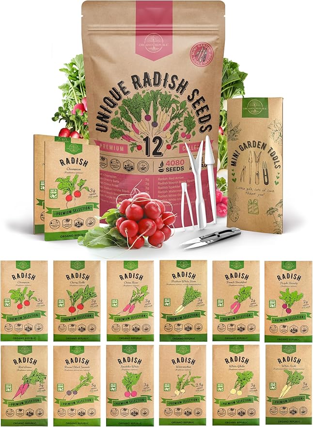 Organo Republic 12 Radish Seeds Variety Pack for Indoor & Outdoors 2400+ Heirloom Non-GMO Radish Garden Seeds: Daikon, Cherry Belle, French, Breakfast, Champion, Purple, Watermelon Radishes Seeds