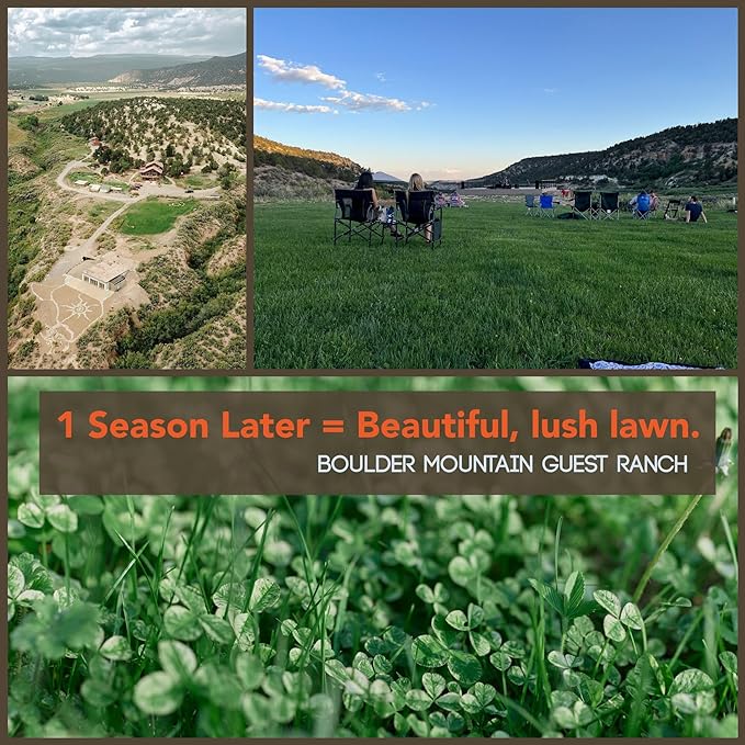 Micro Clover Seeds for Lawn-Microclover Seed for Planting - 5 Lb. Bulk ~2 Million Seeds - Drought-Tolerant Mini Clover Seed - Grass Alternative Miniclover Seeds for Lawn - Mountain Valley Seed Company