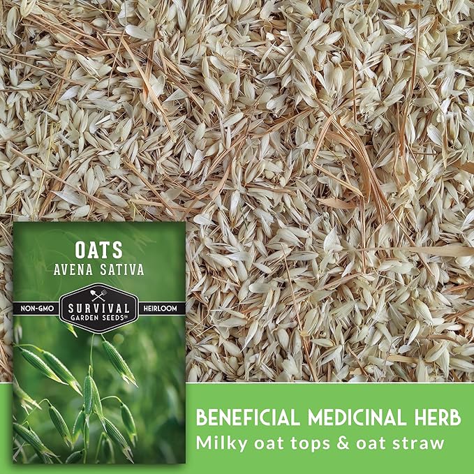 Survival Garden Seeds - Oat Seed for Planting - 2 Packs with Instructions to Plant & Grow Avena Sativa in Your Home Vegetable or Herb Garden - Medicinal Herb & Cover Crop - Non-GMO Heirloom Variety