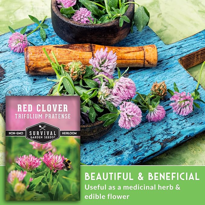 Survival Garden Seeds - Red Clover Seed for Planting - 2 Packets with Instructions to Plant & Grow a Medicinal Herb & Nitrogen Fixing Ground Cover in Your Home Garden - Non-GMO Heirloom Variety