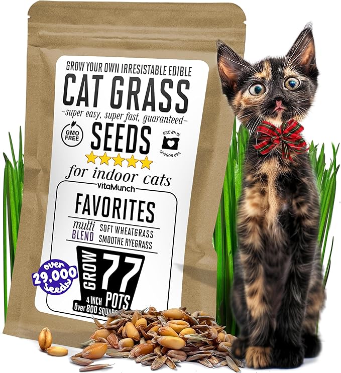 Cat Grass Seeds Favorites Blend – Soft Wheatgrass & Smooth Ryegrass – Grows 77 Pots of Fresh Cat Grass for Indoor Cats –Easy & Fast – Bulk Rescuer's Pack Grows 800 Square inches of Edible cat Grass