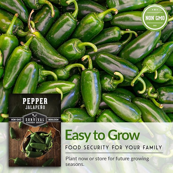 Survival Garden Seeds - Jalapeño Pepper Seed for Planting - Packet with Instructions to Plant and Grow Green or Red Chili Peppers in Your Home Vegetable Garden - Non-GMO Heirloom Variety - 3 Pack