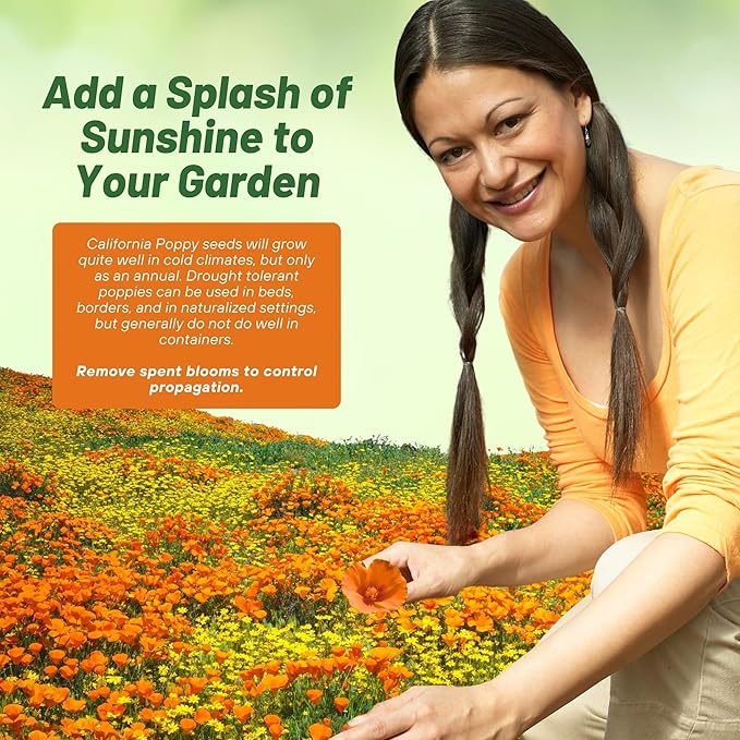 Outsidepride Eschscholzia Orange California Poppy Seeds - 5 lbs. Annual, Native, Drought Tolerant Wildflower Seeds w/Vibrant Blooms for Full Sun & Drought-Tolerant Pollinator-Friendly Gardens