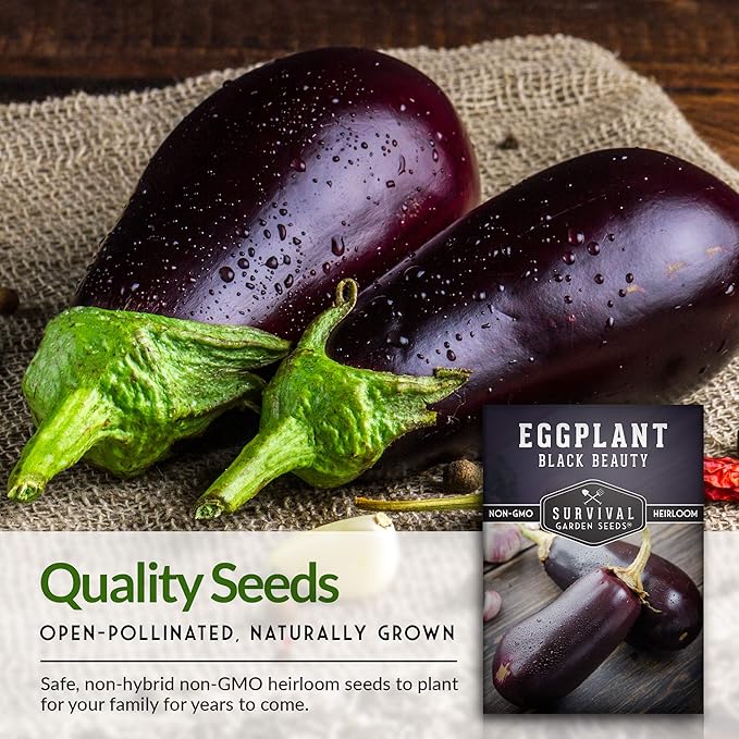 3 Packs Black Beauty Eggplant Seed for Planting - Packet with Instructions to Grow Purple Aubergine Plants in Your Home Vegetable Garden - Non-GMO Heirloom Variety - Survival Garden Seeds