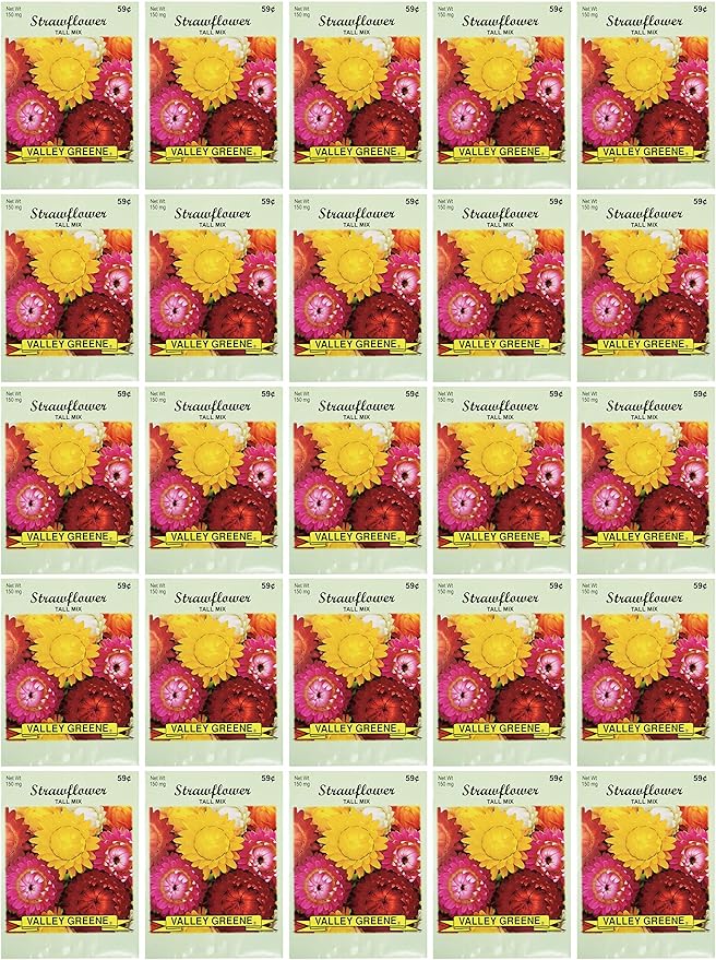 Black Duck Brand Set of 25 Strawflower Tall Mix Flower Seed Packets! Flower Seeds in Bulk - Great for Creating The Garden of Your Dreams! (25, Strawflower - Tall Mix)