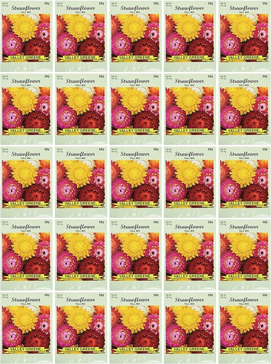 Black Duck Brand Set of 25 Strawflower Tall Mix Flower Seed Packets! Flower Seeds in Bulk - Great for Creating The Garden of Your Dreams! (25, Strawflower - Tall Mix)