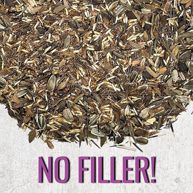 Seed Needs Garden Flower Seeds Large Blooms Mix Hummingbird and Butterfly | 2 Packs (1 Ounce Each) No Filler 7 Varieties Open Pollinated | Resealable Package Live Wild Flower Seed | Bulk