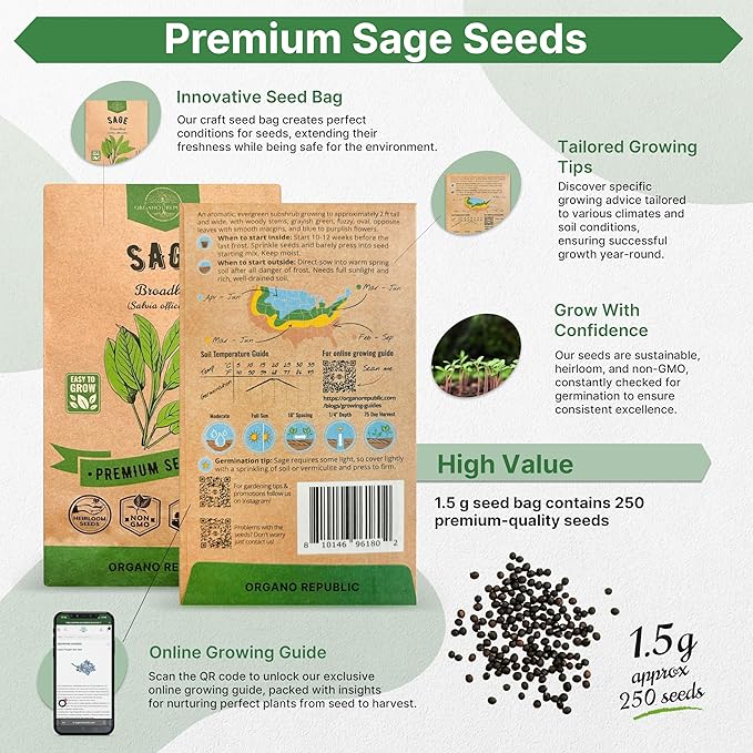 Sage Seeds Pack 1.5 G - Over 250 Non-GMO Heirloom Sage Seeds for Planting Herbs in Individual Seed Packet, Herbs Seeds for Planting Home Garden Indoor & Outdoor Gardening
