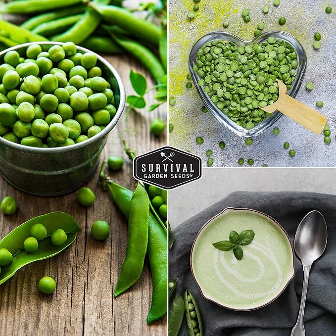 Survival Garden Seeds - Sugar Daddy Snap Pea Seed for Planting - 5 Packs with Instructions to Plant and Grow in Delicious Pea Pods Your Home Vegetable Garden - Non-GMO Heirloom Variety