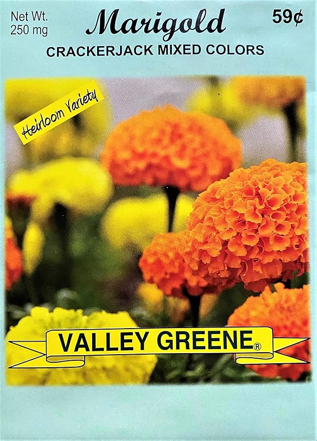 Set of Flower Seed Packets! Flower Seeds in Bulk - Great for Creating The Garden of Your Dreams! (50, Marigold - Crackerjack)