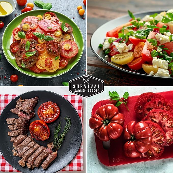 Survival Garden Seeds - Heirloom Rainbow Mix Tomato Seed for Planting - 3 Packets with Instructions to Plant and Grow in Your Home Vegetable Garden - Non-GMO Heirloom Variety - 3 Packs