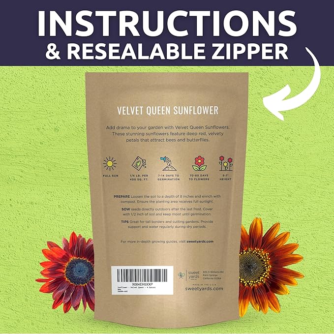Velvet Queen Sunflower - Bulk 1/4 Pound Pouch - 4,000 Flower Seeds for Planting - Helianthus annuus