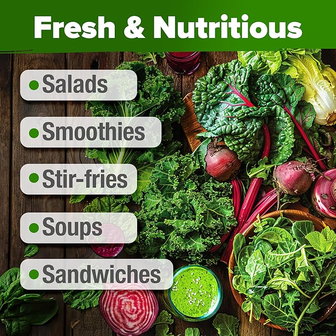 HOME GROWN 10,000+ Heirloom Lettuce Seeds for Planting Indoors - 95% Germination, Non-GMO Greens Seeds, (20 Varieties): Kale, Spinach, Butter, Oak, Romaine Bibb & More - Lettuce Seeds for Hydroponic